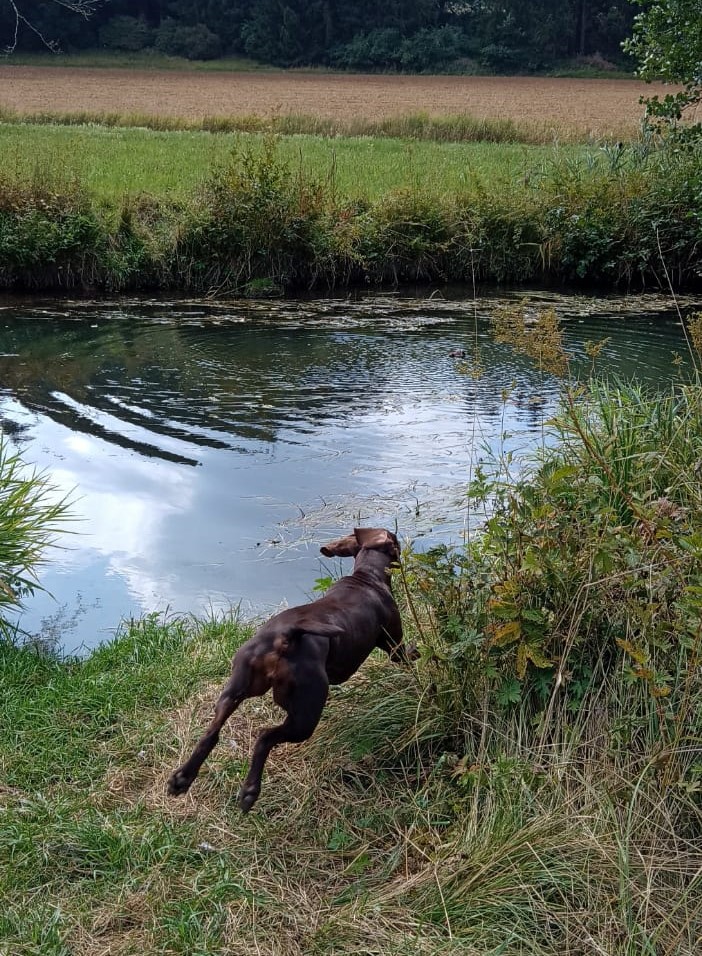 Bring Apport !!! Image