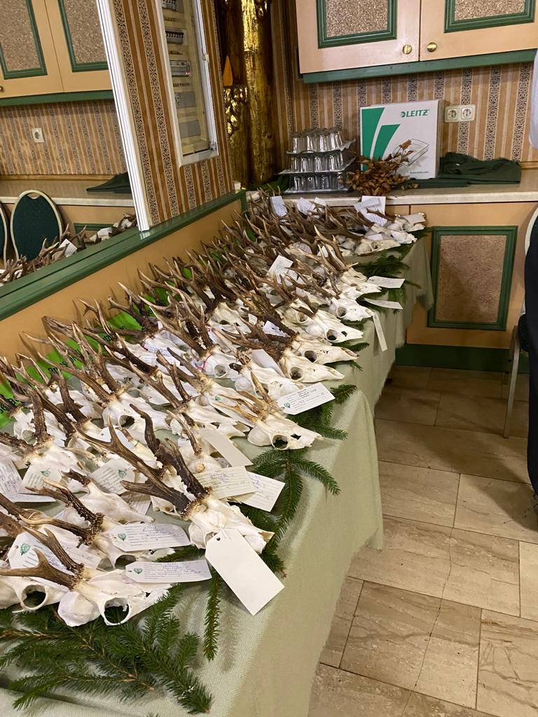 HG Velburg - Trophäenschau am 24.März 2023 Image