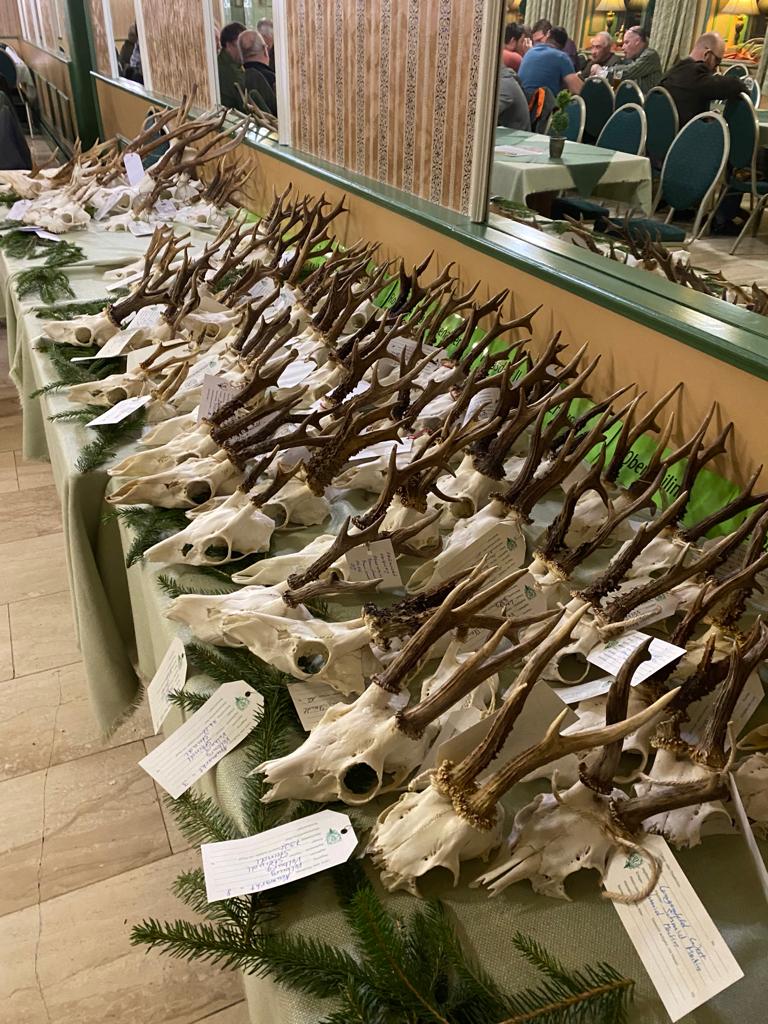 im Spiegelsaal des Hotels zur Post in Velburg Image