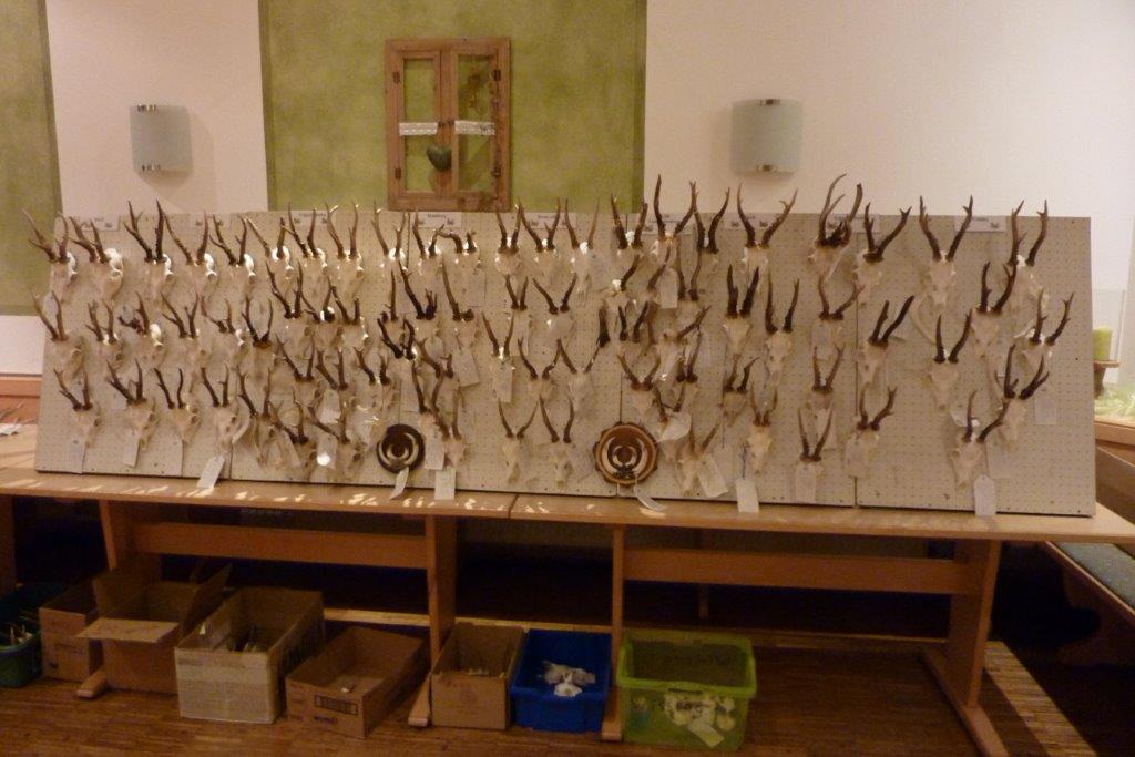 HG Breitenbrunn - Trophäenschau Image