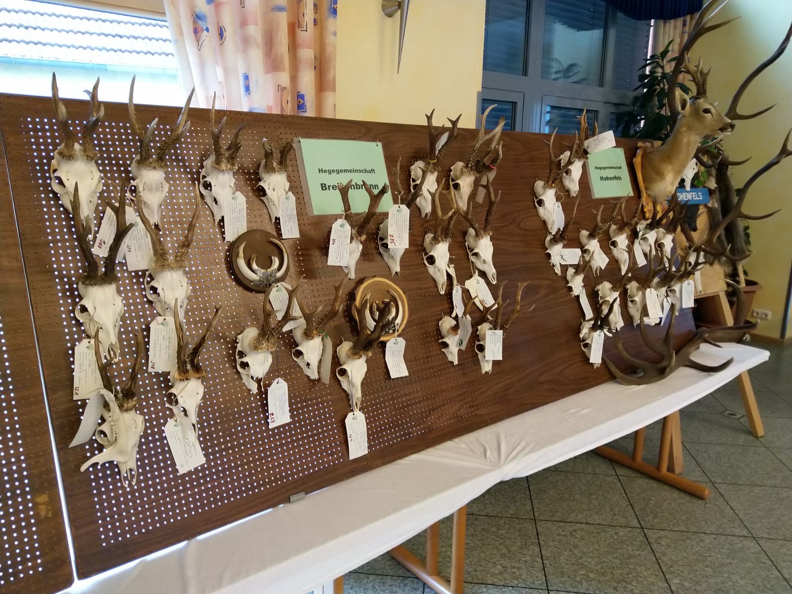 Die Wand der HG Breitenbrunn Image