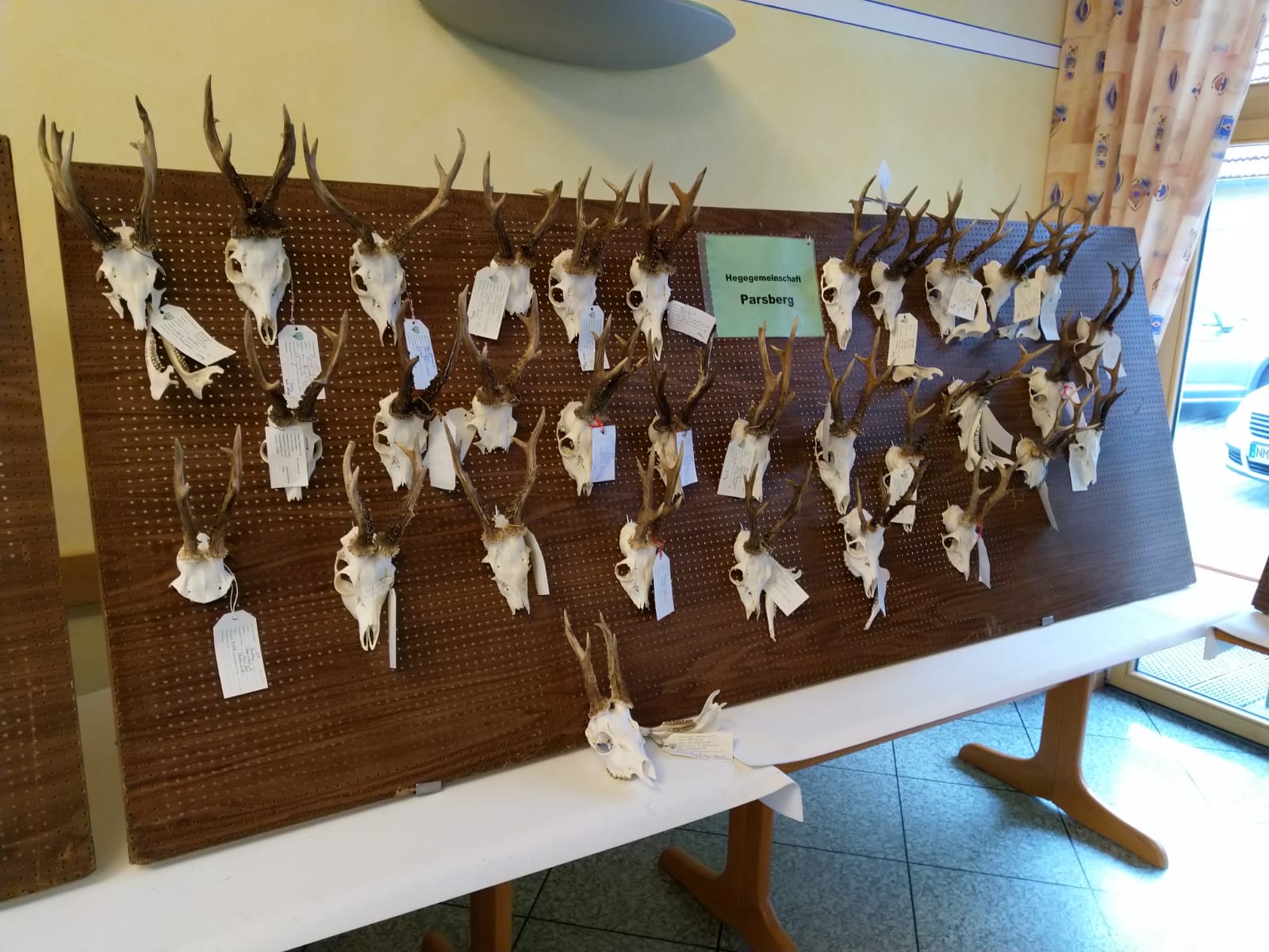 Die Wand der HG Parsberg Image