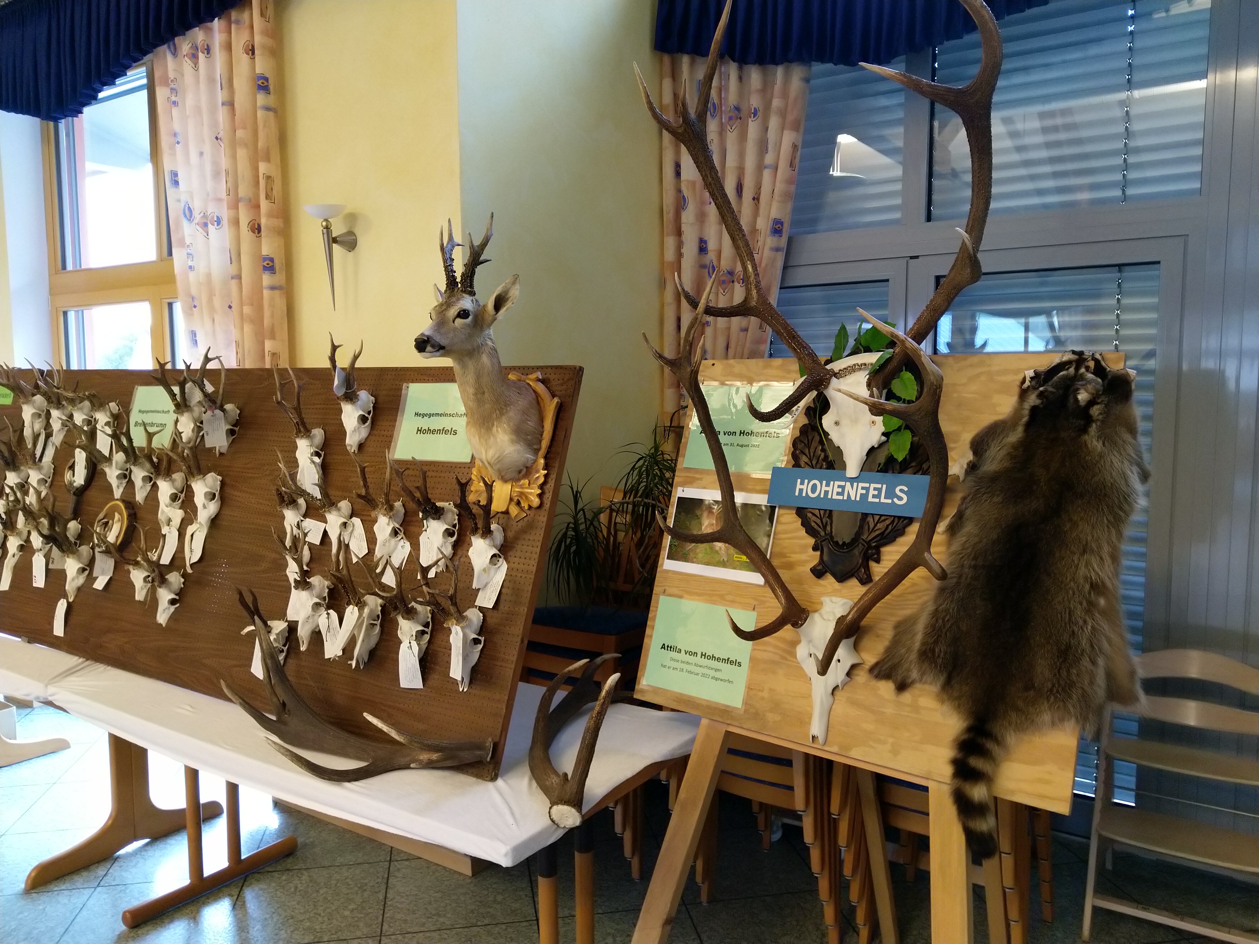 Die Wand der HG Hohenfels Image