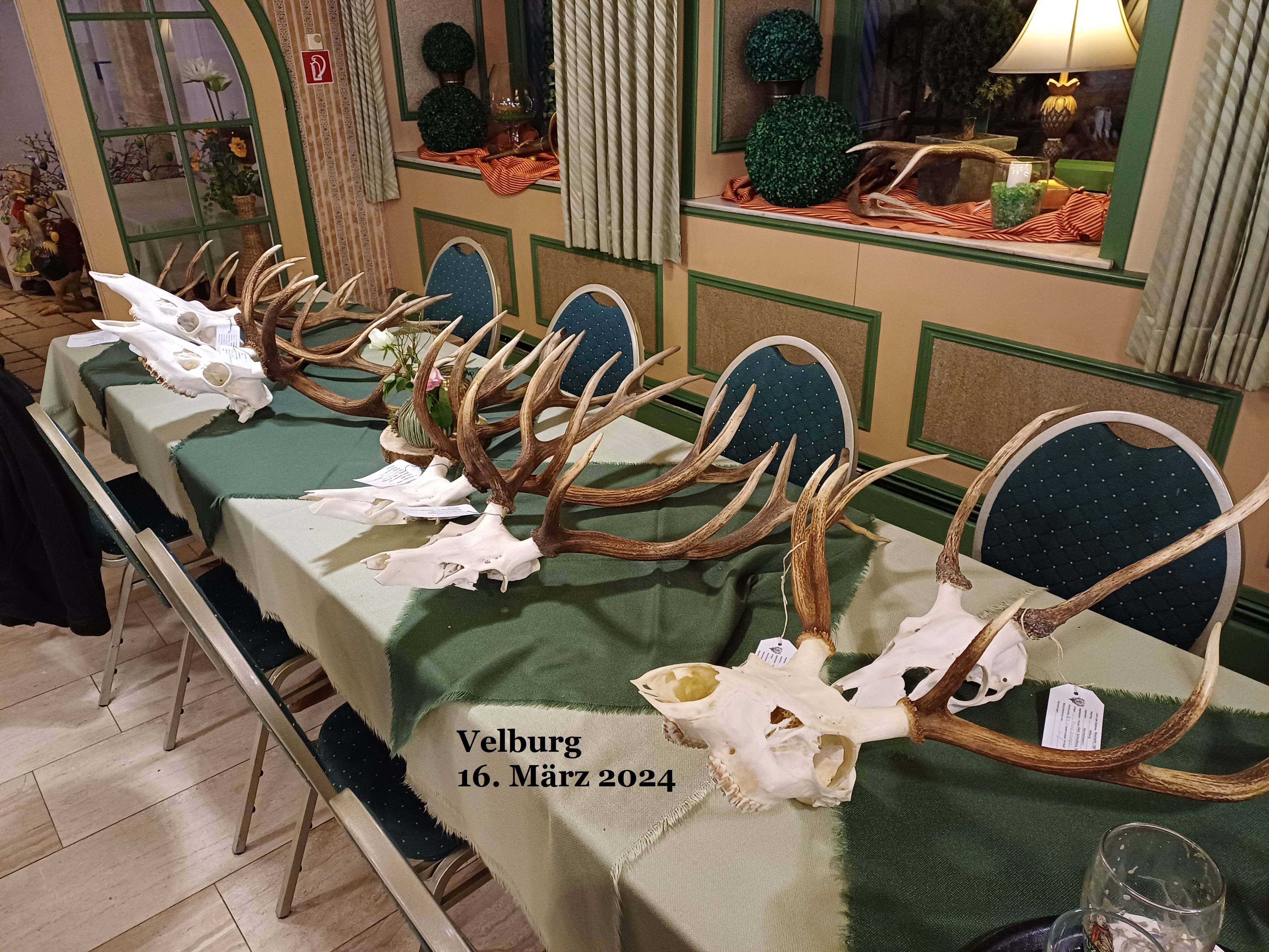 auch Rotwild war zu sehen Image