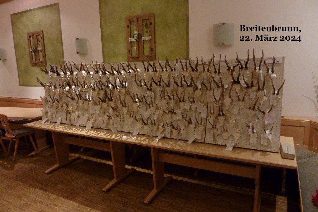 Pflicht Tropäenschau in Breitenbrunn Image