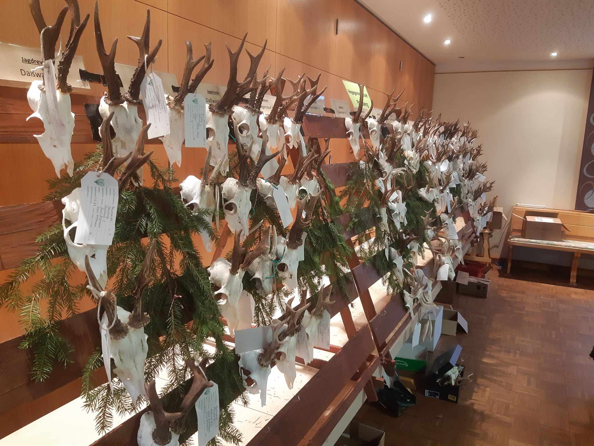 im Gasthaus Mirbeth in See Image