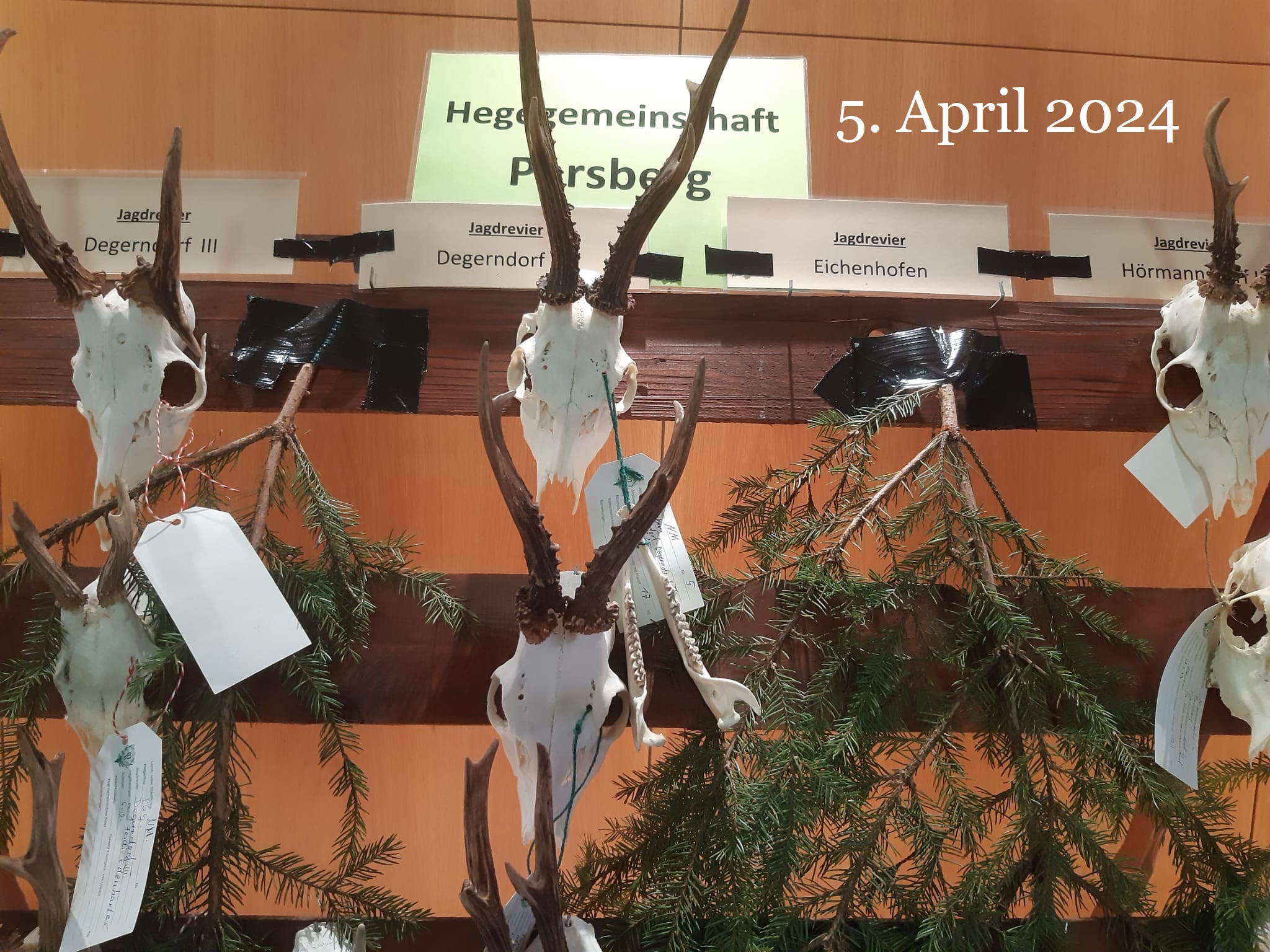 Pflicht Trophäenschau in Parsberg Image