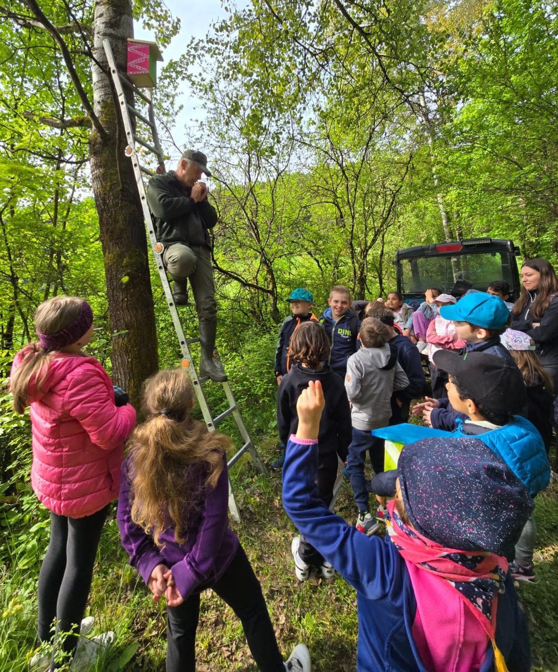100 Schülerinnen und Schüler hängen mit den Jägern Nistkästen auf. Und anschliessend macht der Jäger Vogelstimmen nach. Image