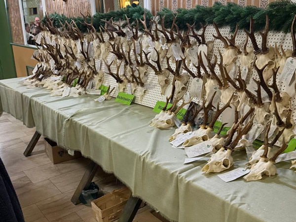 21. März 2026: Pflichttrophäenschau in Velburg 21. März 2026: Pflichttrophäenschau in Velburg