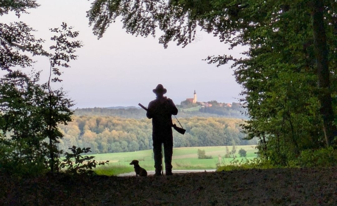 Jäger mit Hund am Waldrand mit Blick auf den Eichelberg im Hintergrund Image